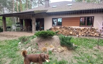 Widok od strony podwórka