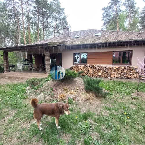 Widok od strony podwórka