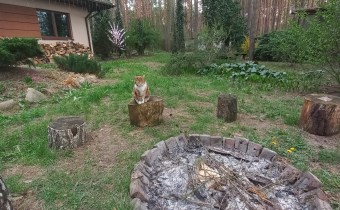 Podwórko