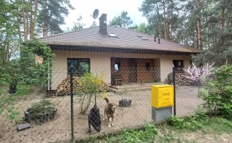 Front domu