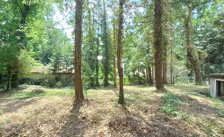 dom na wynajem - Piaseczno, Zalesie Górne, Koralowych Dębów