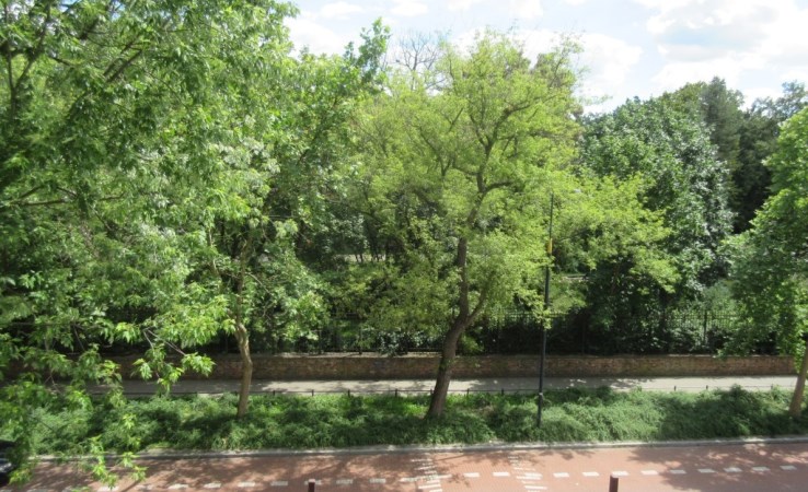lokal na wynajem - Warszawa, Śródmieście, Ujazdów, Parkowa